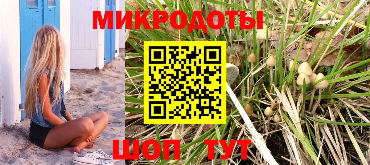Псилоцибиновые грибы Cubensis  Вход с VPN  Глазов 